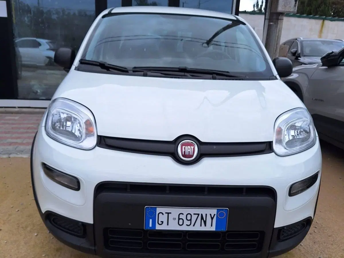 Fiat Panda Cross usata a Salerno (9)