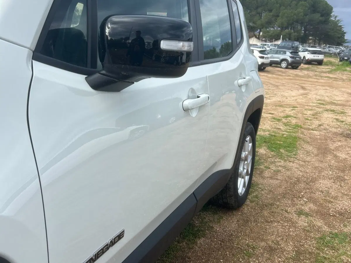 Jeep Renegade usata a Salerno (11)
