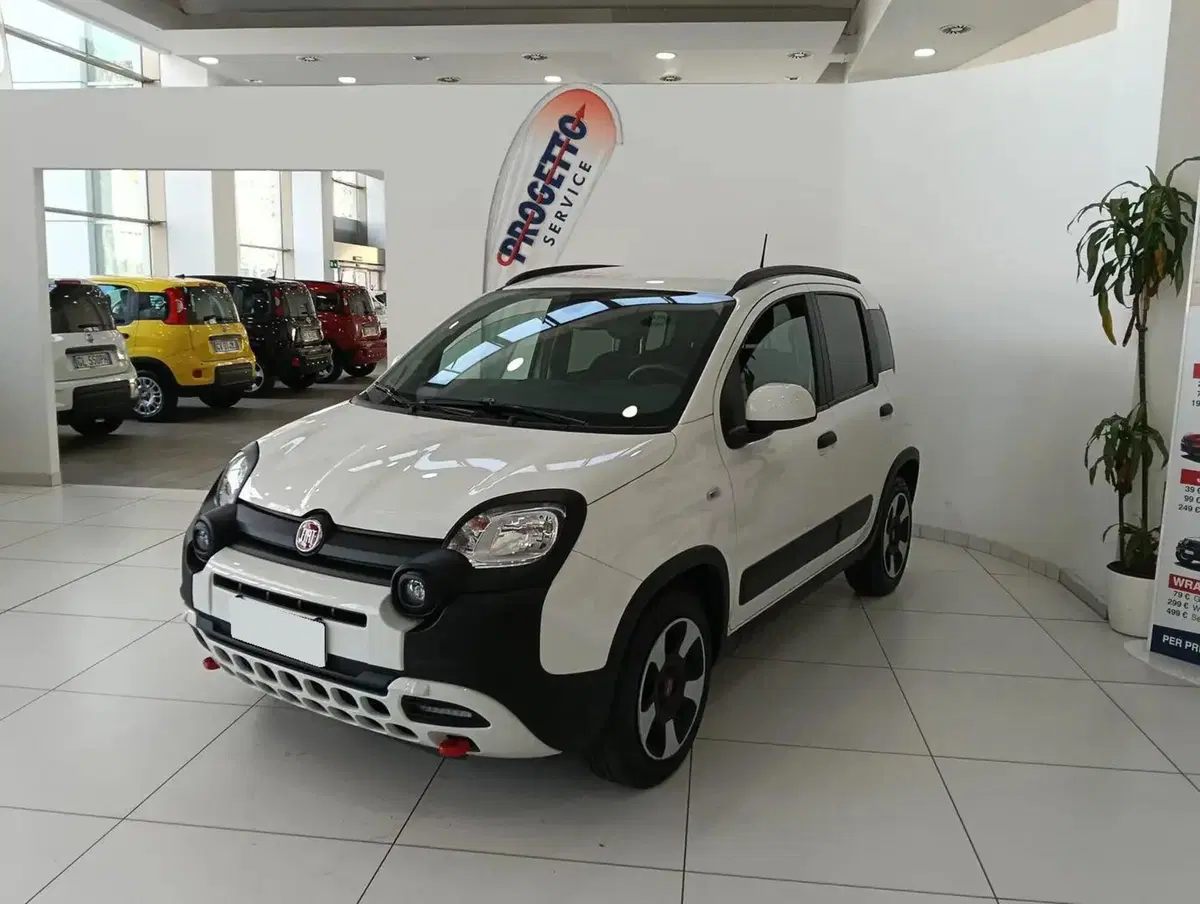 Fiat Panda Cross usata a Salerno