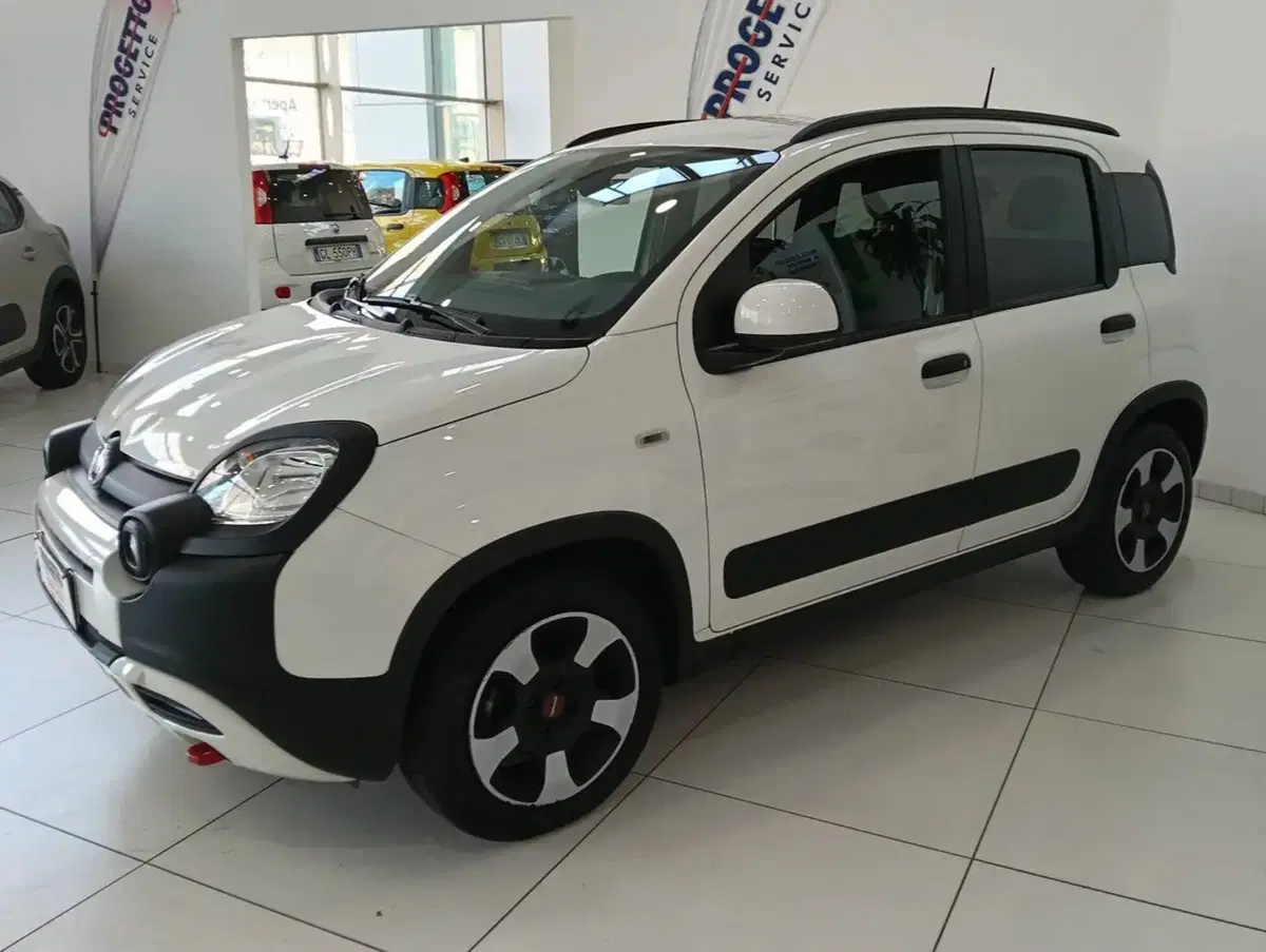 Fiat Panda Cross usata a Salerno (11)