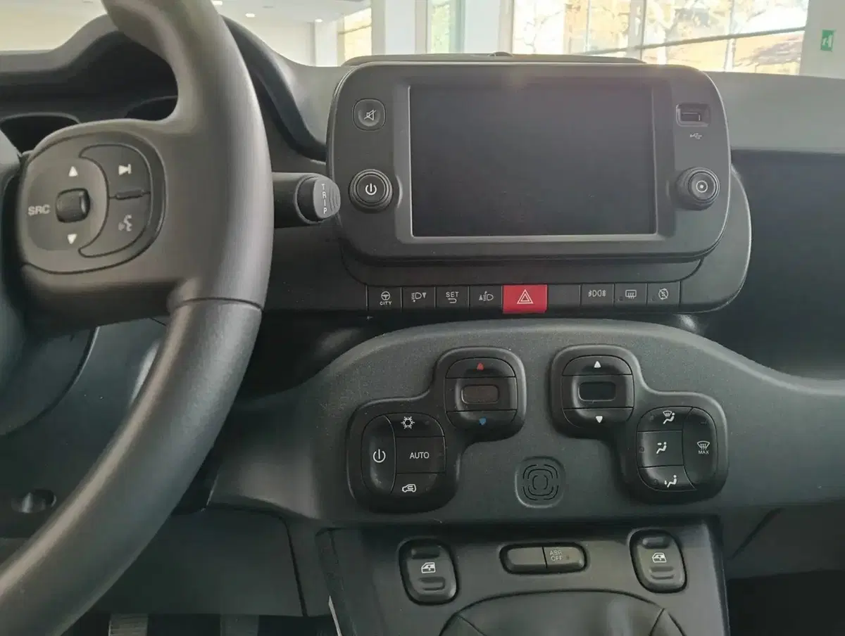 Fiat Panda Cross usata a Salerno (13)