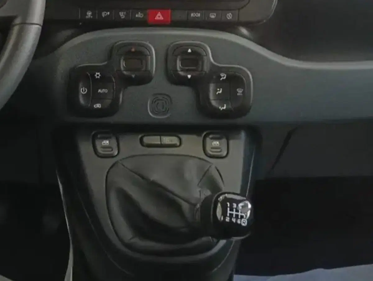 Fiat Panda Cross usata a Salerno (14)