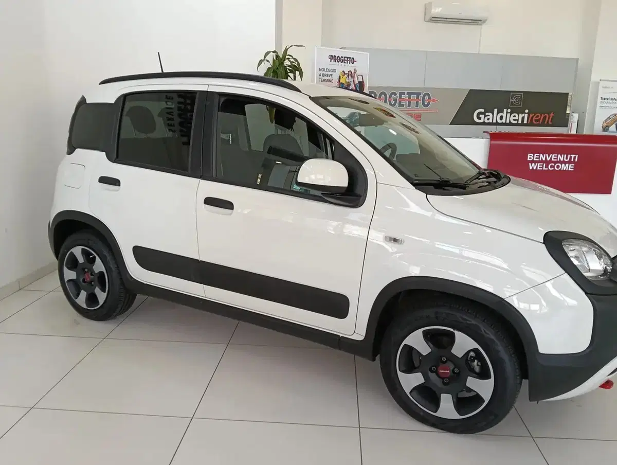 Fiat Panda Cross usata a Salerno (2)