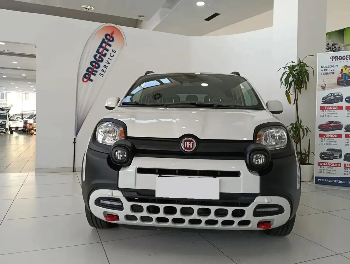 Fiat Panda Cross usata a Salerno (3)