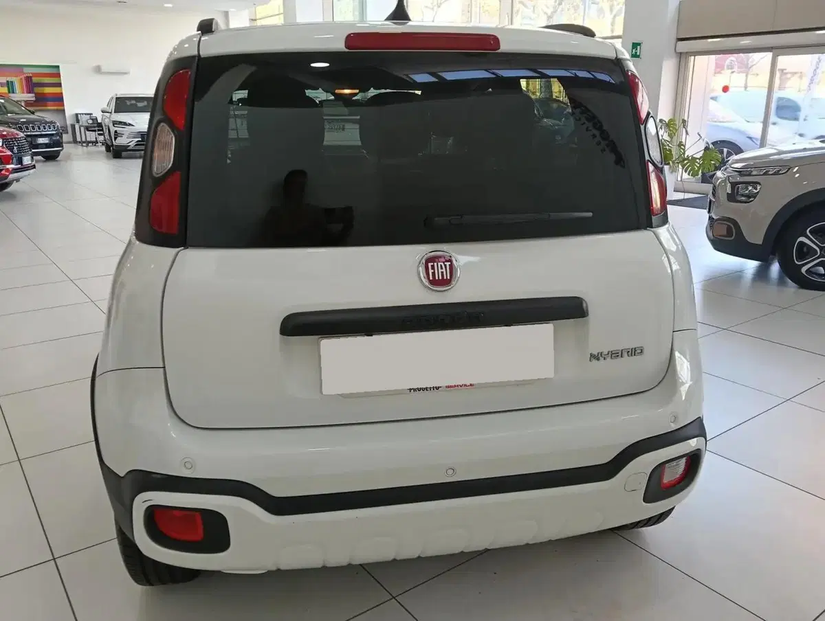 Fiat Panda Cross usata a Salerno (4)
