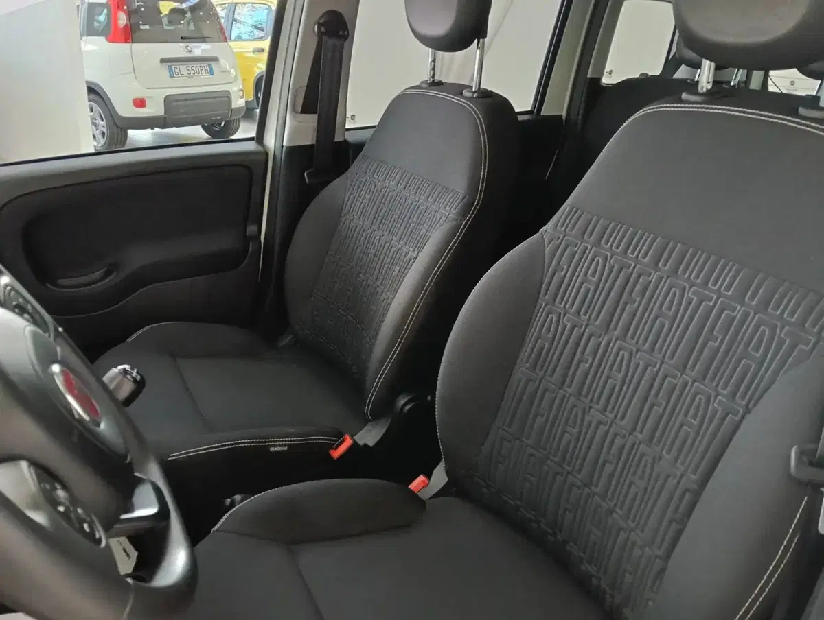 Fiat Panda Cross usata a Salerno (6)