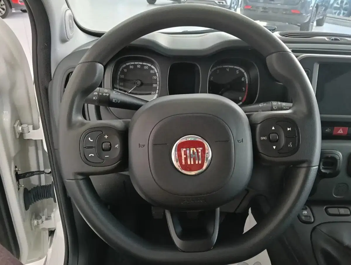 Fiat Panda Cross usata a Salerno (7)