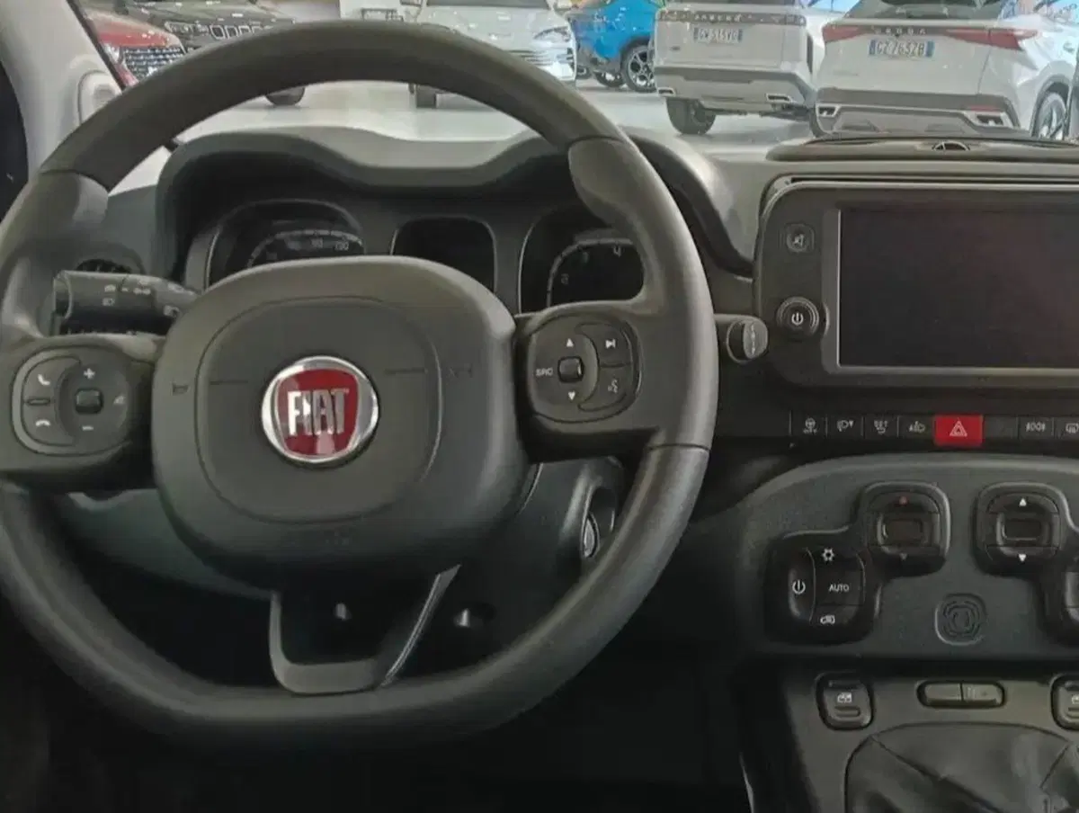 Fiat Panda Cross usata a Salerno (8)