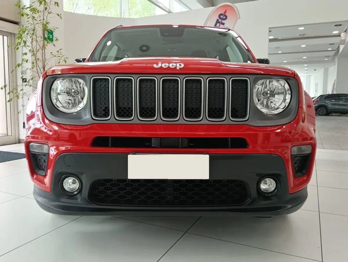 Jeep Renegade usata a Salerno (9)