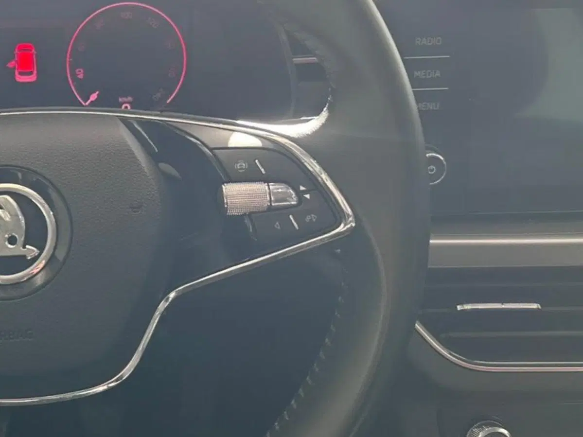 Skoda Kamiq usata a Salerno (13)