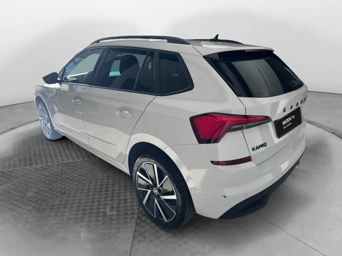 Skoda Kamiq usata a Salerno (3)