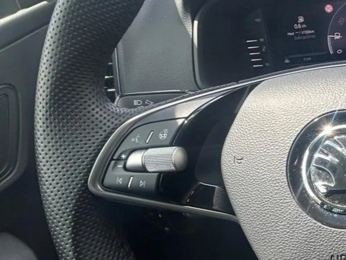 Skoda Karoq usata a Salerno (14)