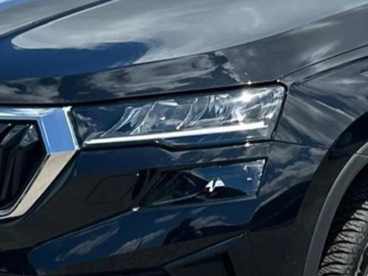 Skoda Karoq usata a Salerno (19)