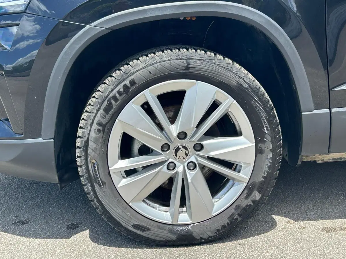 Skoda Karoq usata a Salerno (20)