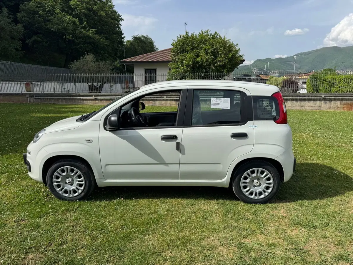 Fiat Pandina nuova a Salerno (10)