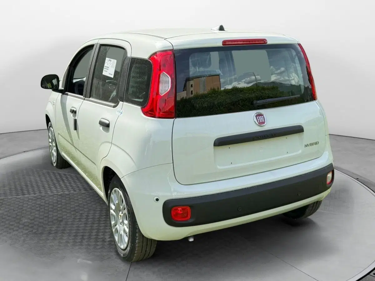 Fiat Pandina nuova a Salerno (3)