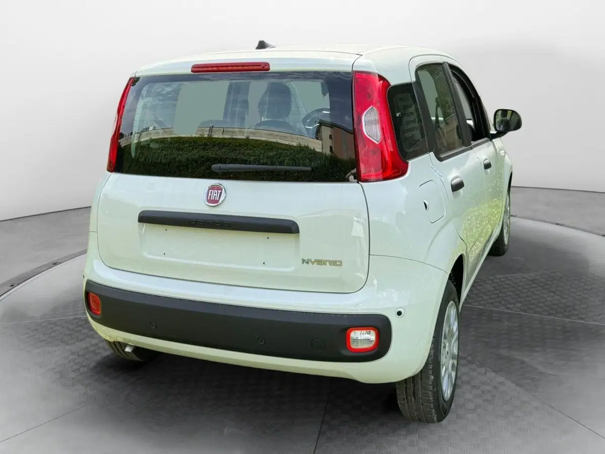 Fiat Pandina nuova a Salerno (4)