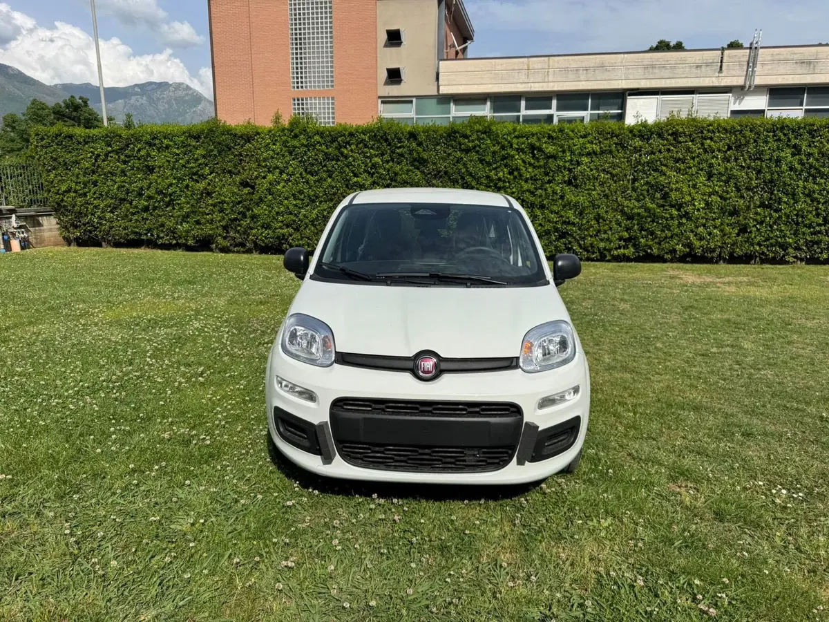 Fiat Pandina nuova a Salerno (9)