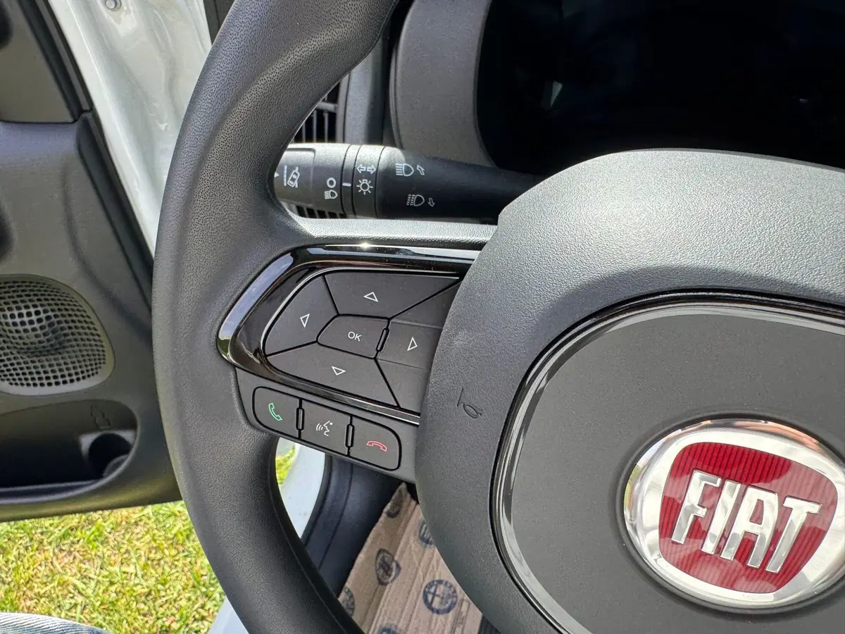 Fiat Pandina nuova a Salerno (17)