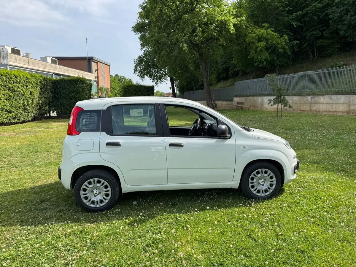 Fiat Pandina nuova a Salerno (14)