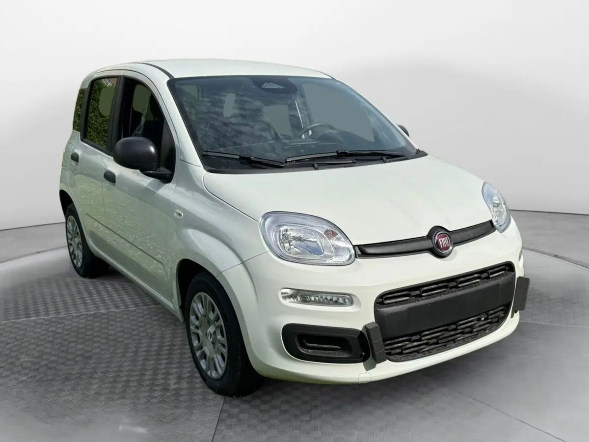 Fiat Pandina nuova a Salerno (2)