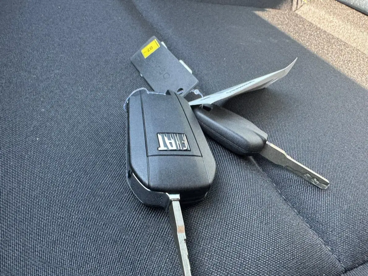 Fiat Grande Panda nuova a Salerno (20)