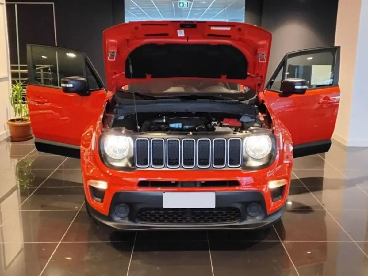 Jeep Renegade usata a Salerno (10)