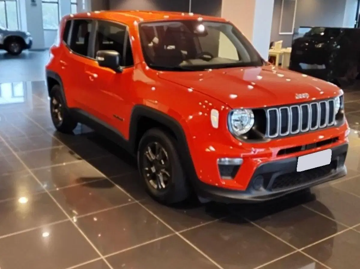 Jeep Renegade usata a Salerno (2)