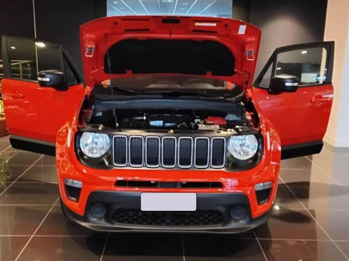 Jeep Renegade usata a Salerno (10)