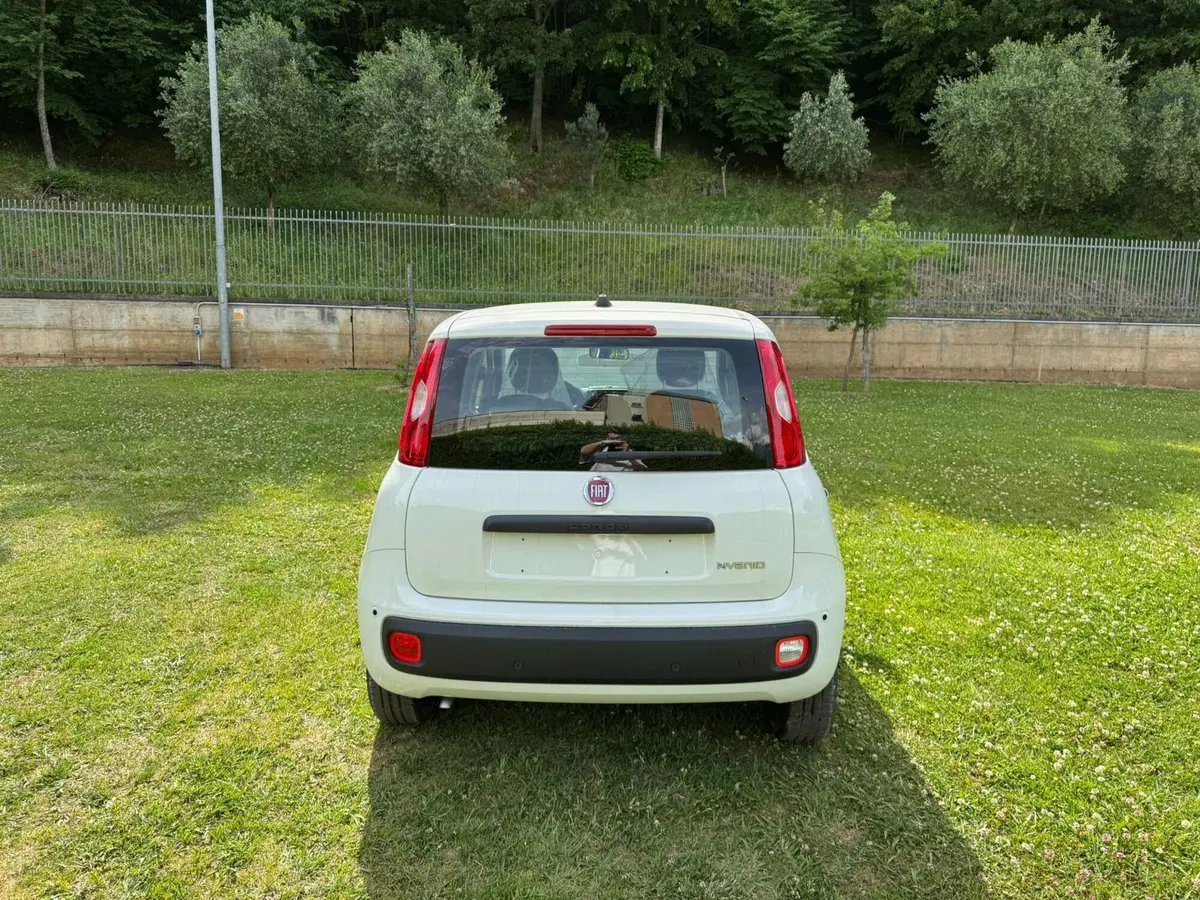 Fiat Pandina nuova a Salerno (11)