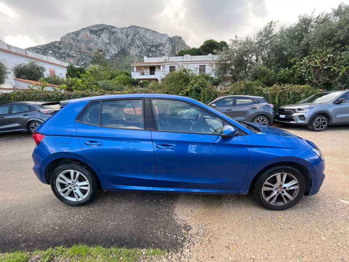 Skoda Fabia usata a Salerno (15)