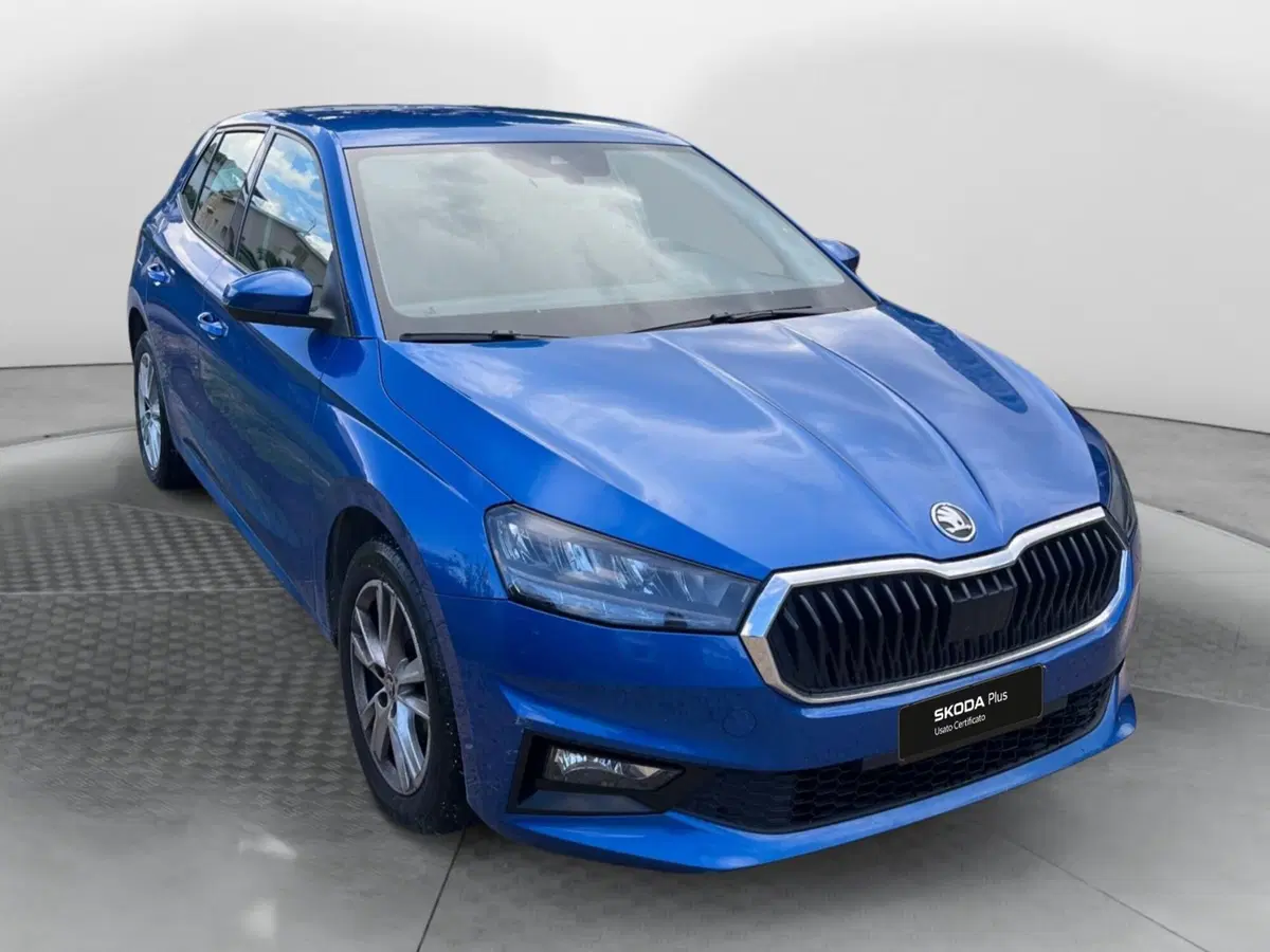 Skoda Fabia usata a Salerno (2)
