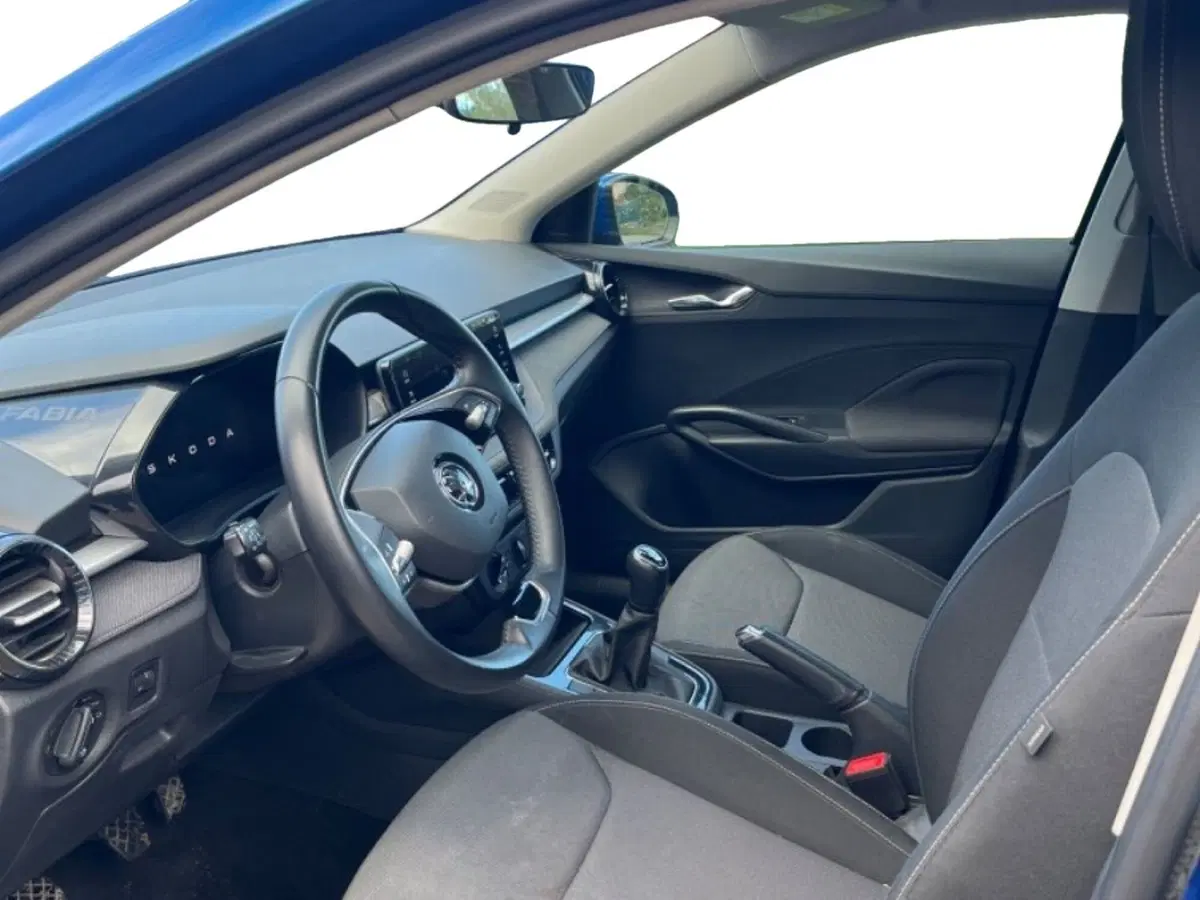 Skoda Fabia usata a Salerno (6)