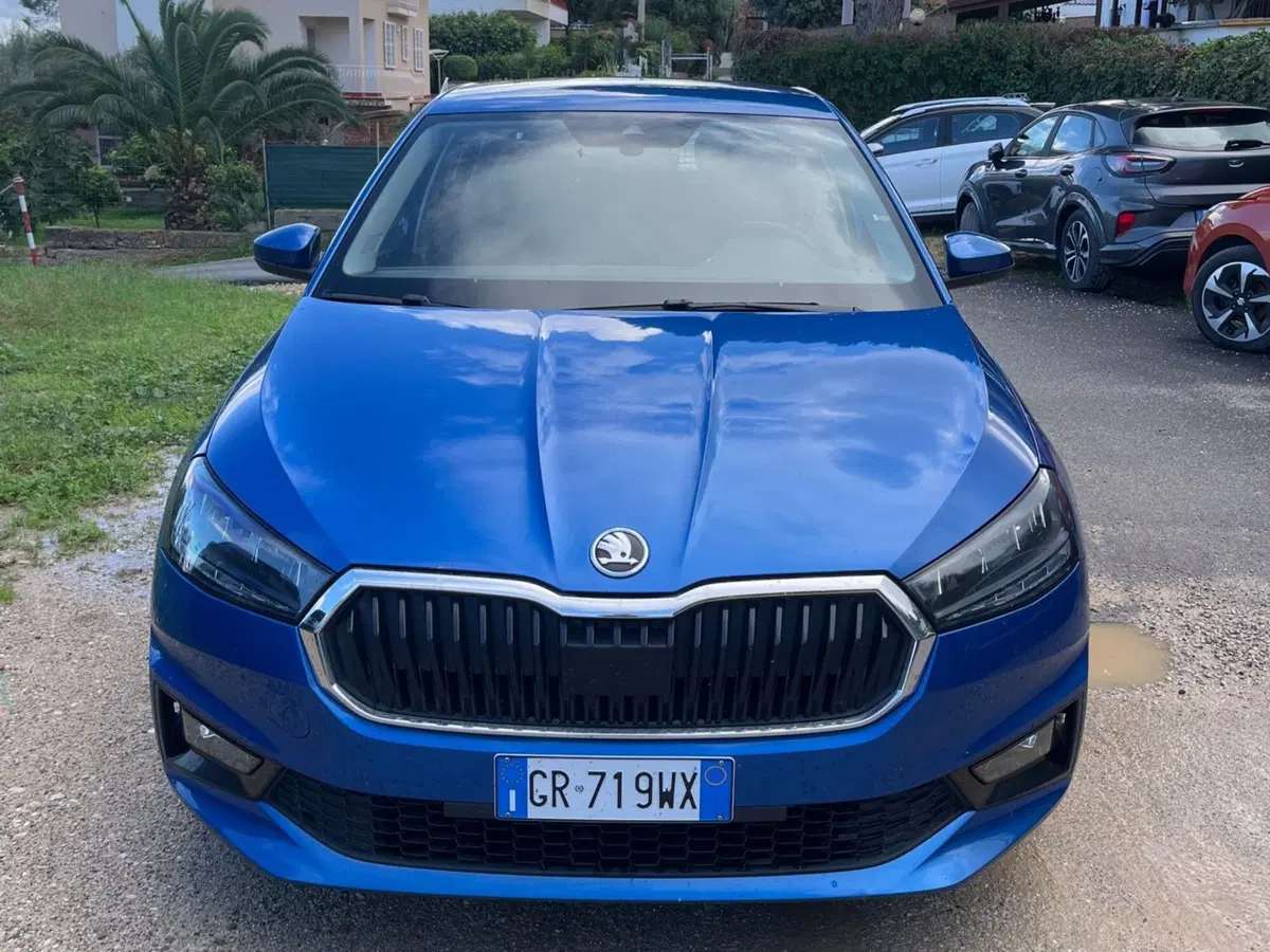 Skoda Fabia usata a Salerno (9)