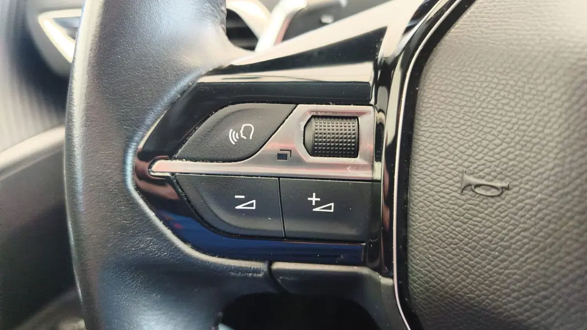 Peugeot 3008 usata a Firenze (16)