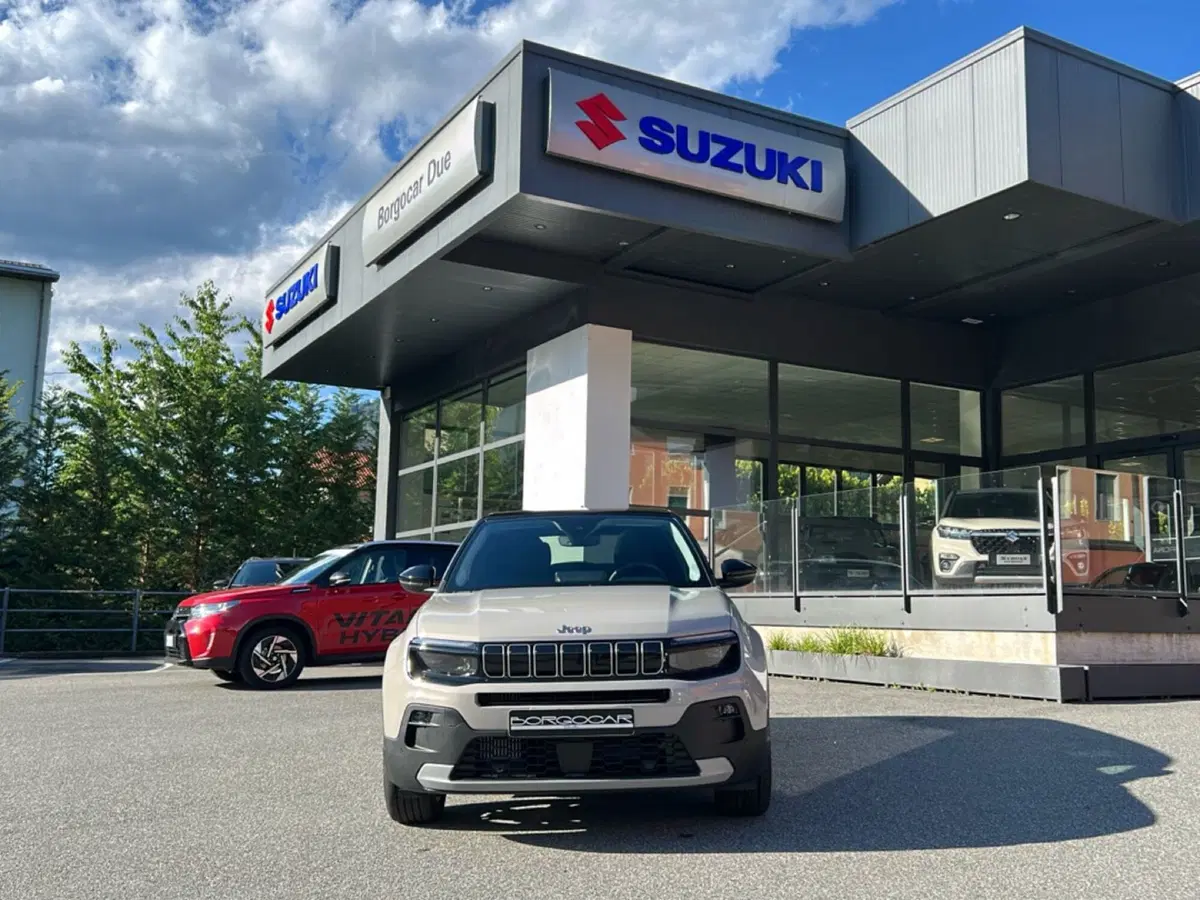 Jeep Avenger usata a Vercelli (2)