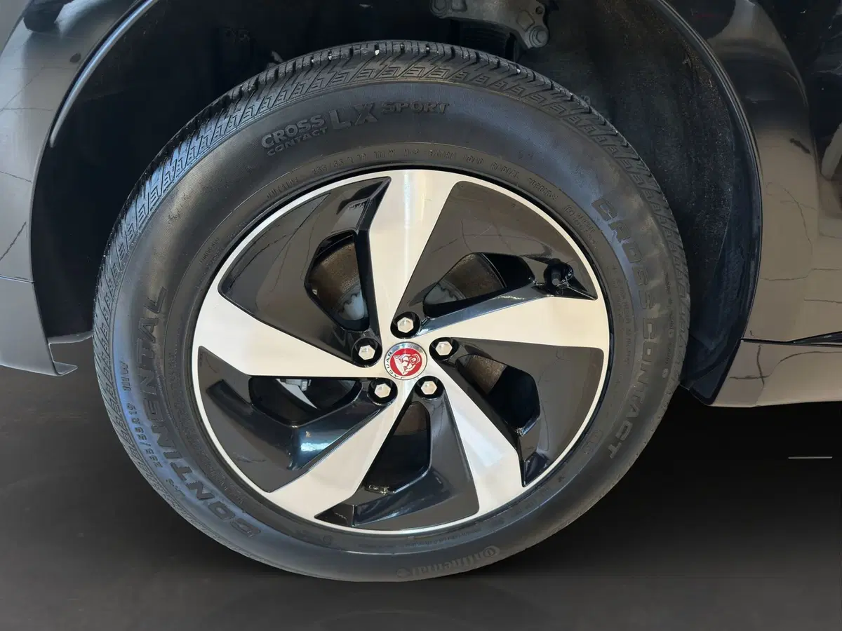 Jaguar F-Pace usata a Latina (9)