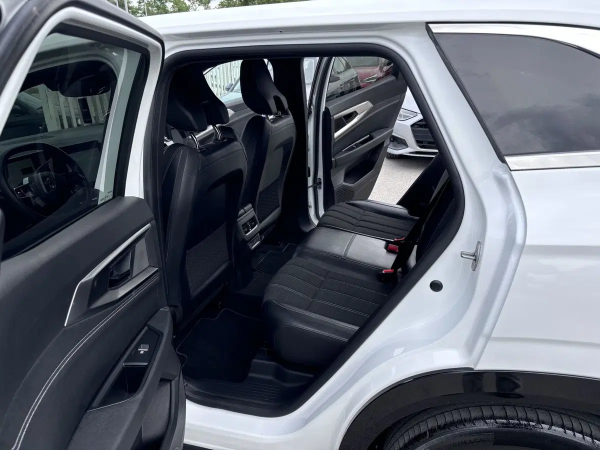 Renault Austral usata a Ancona (10)