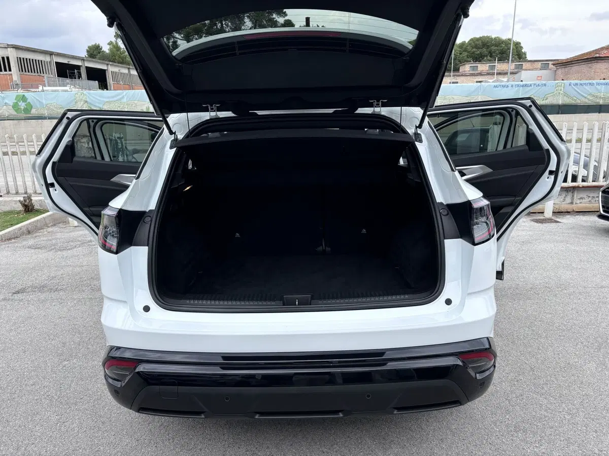 Renault Austral usata a Ancona (11)