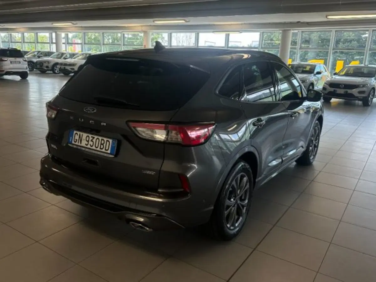 Ford Kuga usata a Cuneo (5)