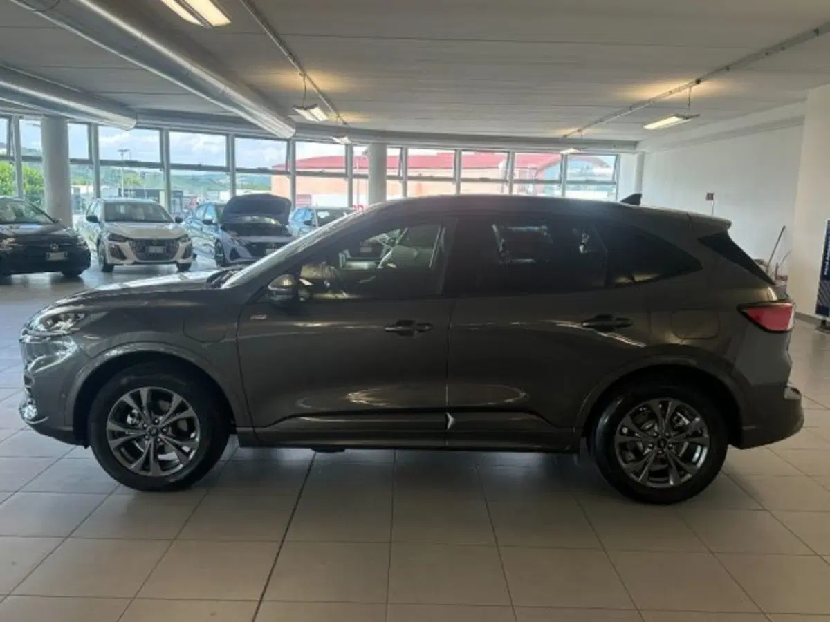 Ford Kuga usata a Cuneo (8)