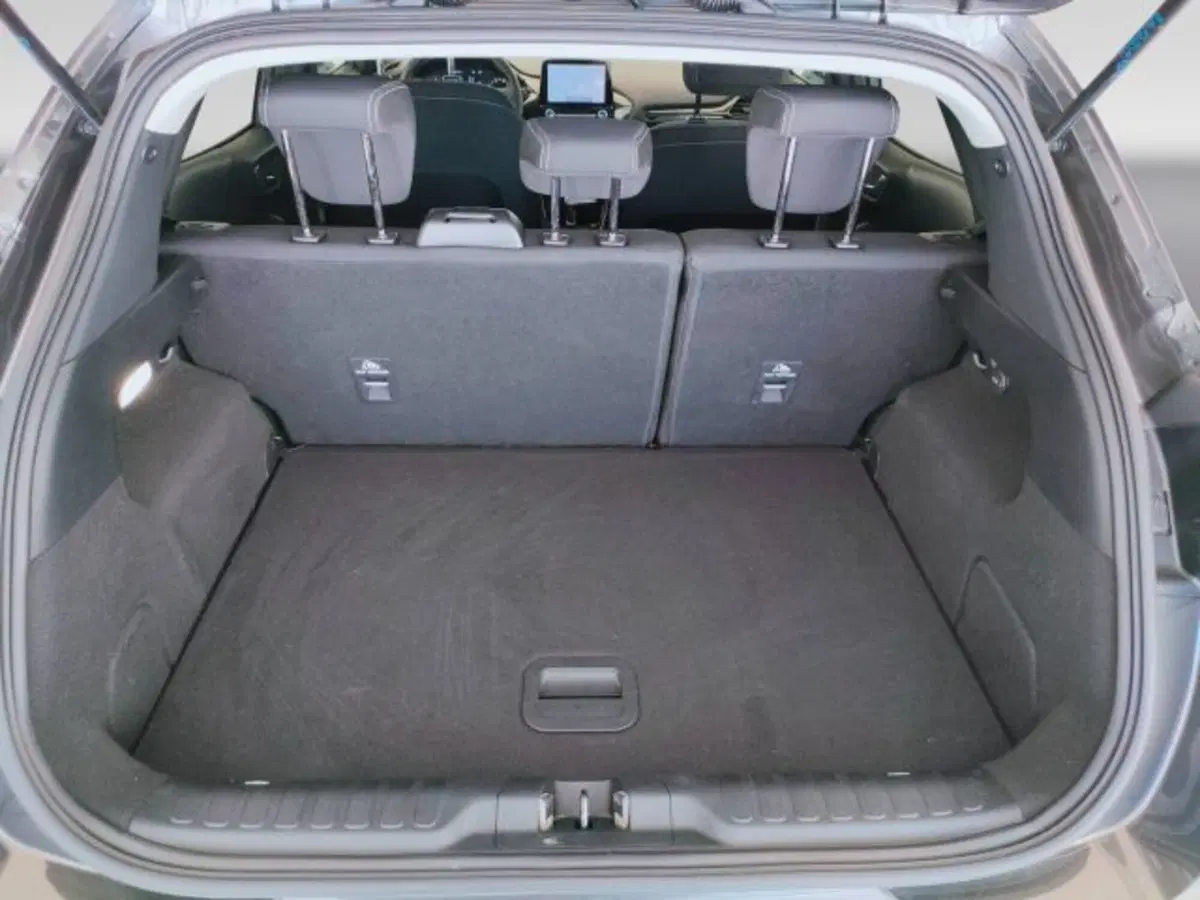 Ford Puma usata a Teramo (12)