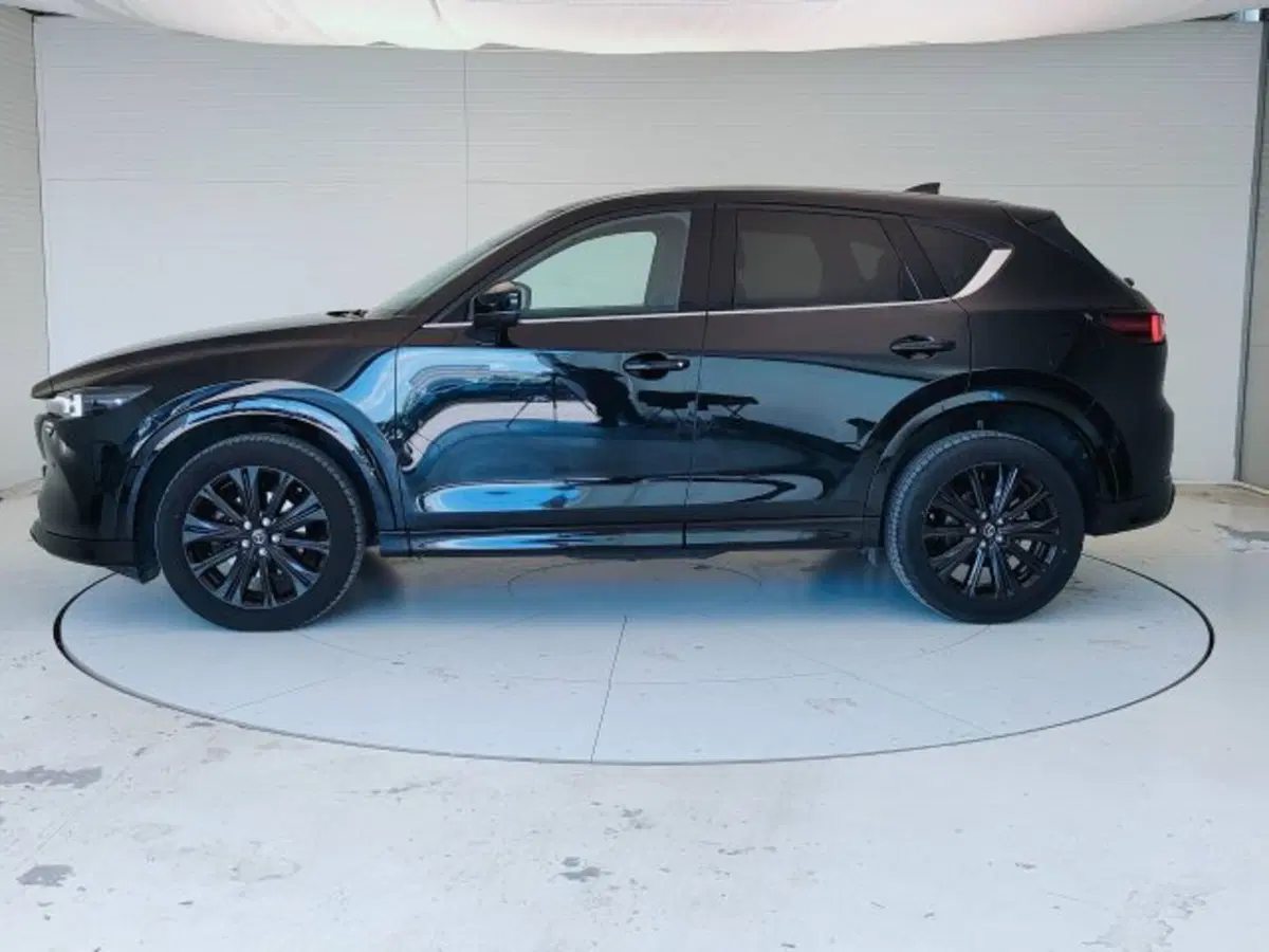 Mazda CX-5 usata a Teramo (7)