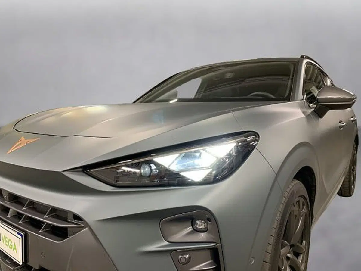 Cupra Terramar usata a Vicenza (18)