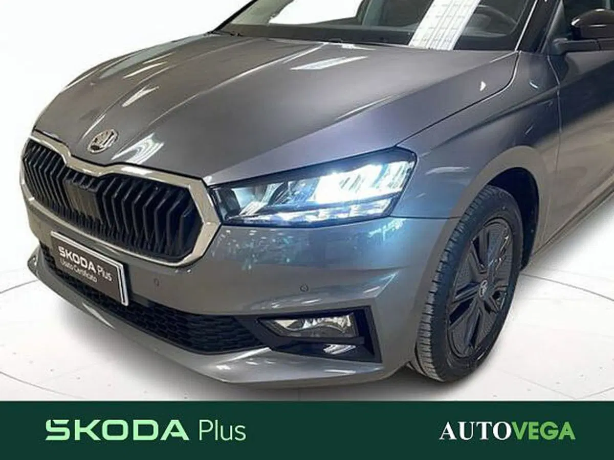 Skoda Fabia usata a Vicenza (19)