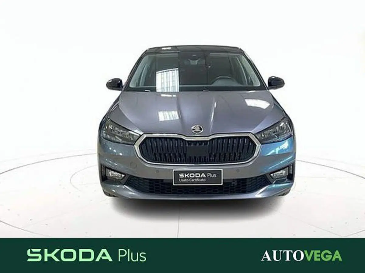 Skoda Fabia usata a Vicenza (2)