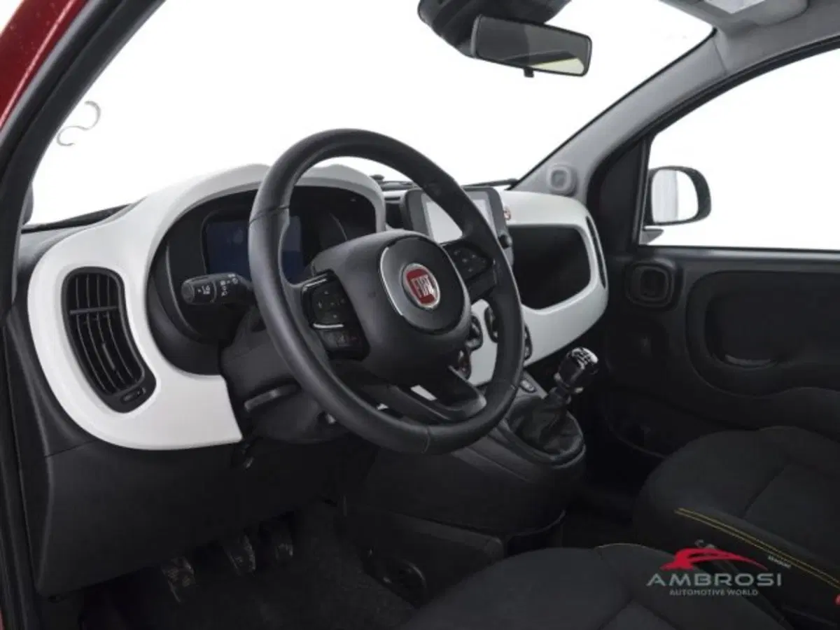 Fiat Panda Cross usata a Perugia (8)