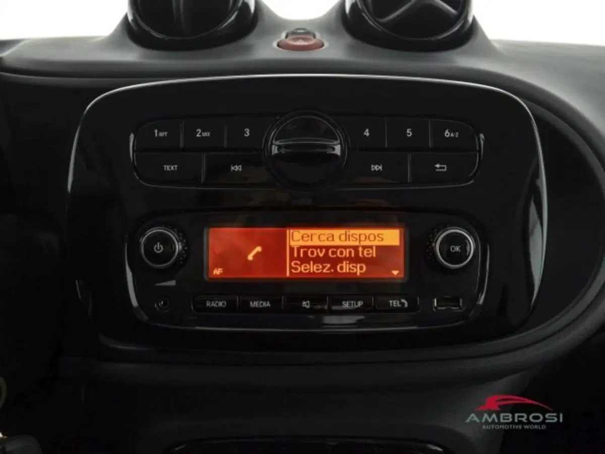 smart Fortwo usata a Perugia (13)