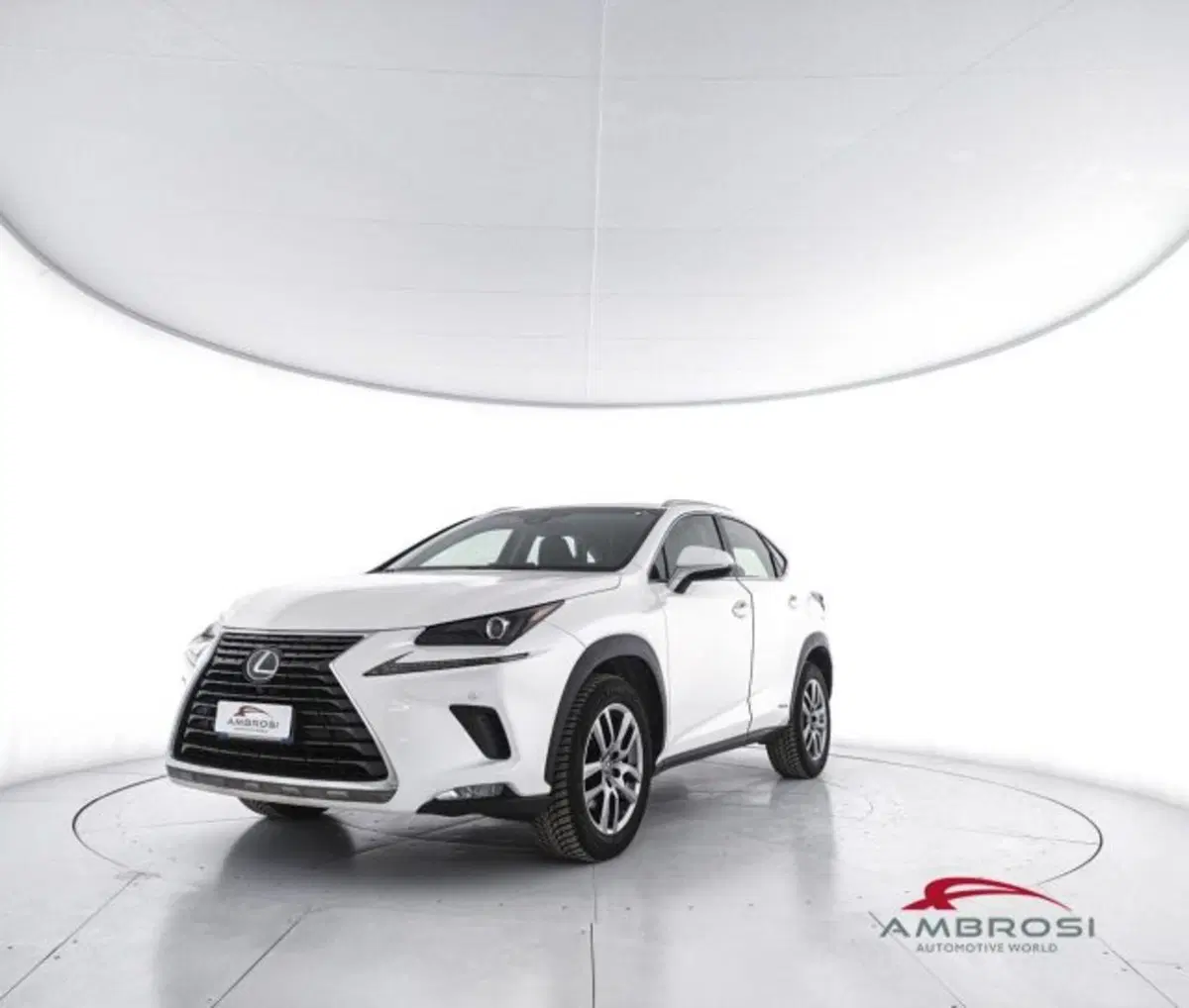 Lexus NX usata a Perugia