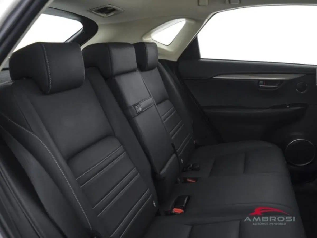 Lexus NX usata a Perugia (11)